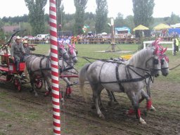 Soutěž Polsko